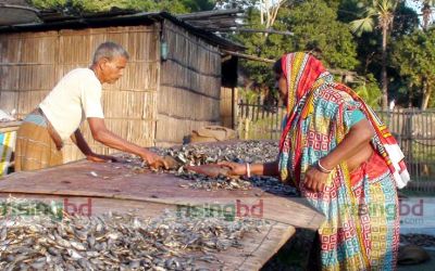 গোপালগঞ্জের শুঁটকির কদর দেশজুড়ে