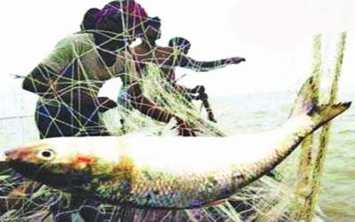 মাছ ধরছেন জেলেরা