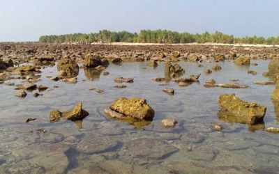 ছেঁড়াদ্বীপে নায়িকা মৌসুমী পাথর