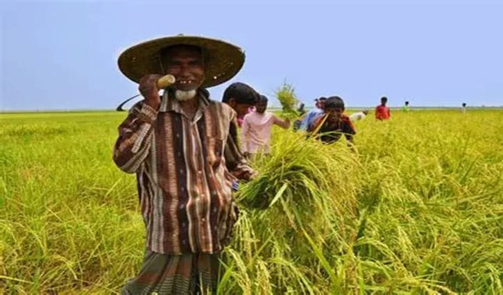 কৃষকের দিনকাল