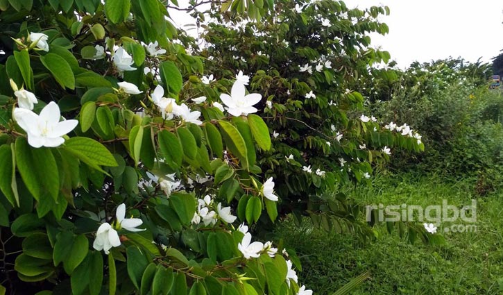 Onam gunoh video seks ruska Jinsiy aloqa va uysiz odamlar