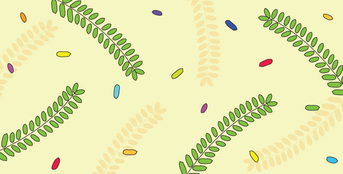 লজ্জাবতী