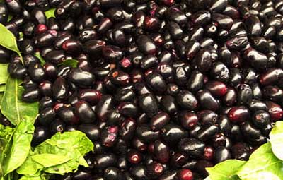 জামের ওষুধিগুণ অনেক