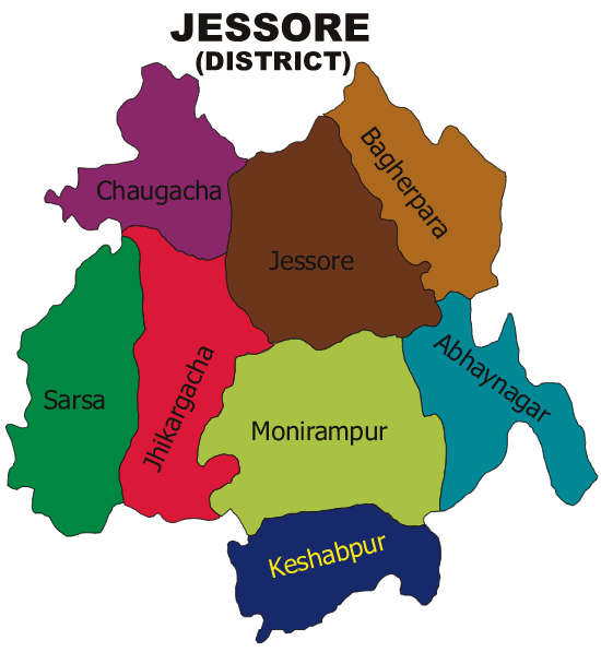 MP, UNO, OC injured by blockaders in Jessore