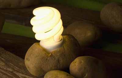 আলু থেকে বিদ্যুৎ উৎপাদন