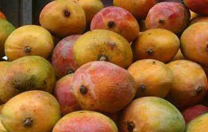 ভারতীয় ‘সুন্দরী’ বিষ