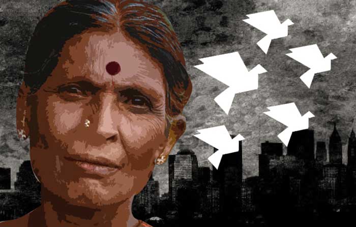 জয়তুন বিবি॥ নাইম আবদুল্লাহ