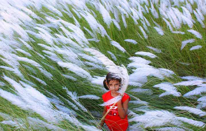 বর্ষার আবরণে এসেছে শরৎ