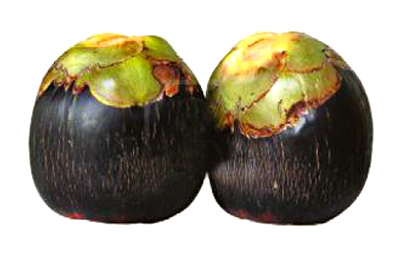 বাজারে আসছে পাকা তাল