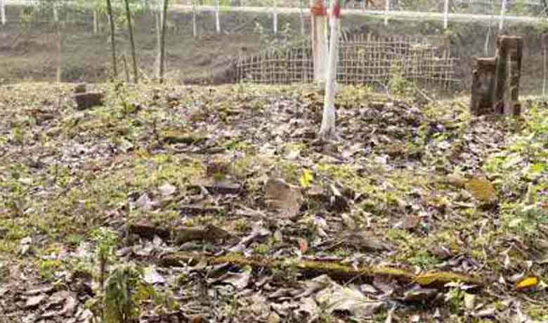 বালাগঞ্জে অযত্নে-অবহেলায় একাত্তরের গণকবর