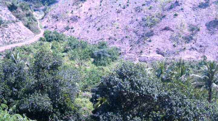 মাহবুব আলম চাষী ফার্মের জমি তছরুপে সিন্ডিকেট!