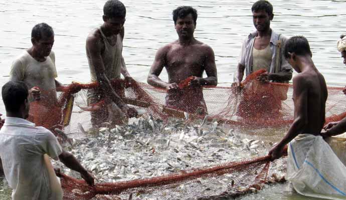 45.52 lakh m. ton fish production expected by 2021