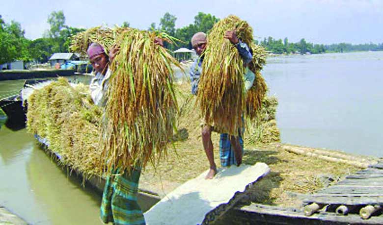 এল কার্তিক, এল হেমন্ত