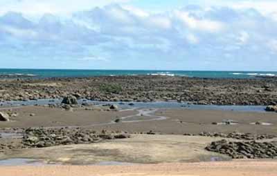 ঝিনুক কুড়াতে গিয়ে চোরাবালিতে...