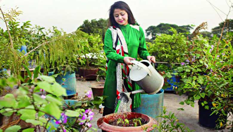 জেনে রাখুন বৃক্ষরোপণ ও পরিচর্যার কিছু কৌশল