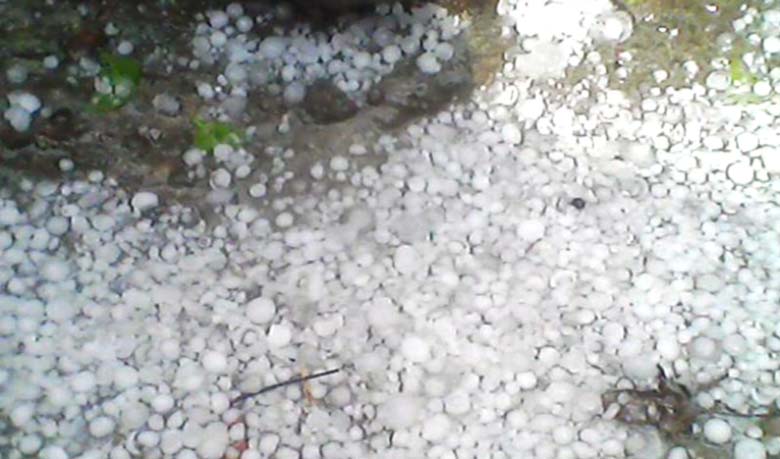 চৌগাছায় হঠাৎ শিলাবৃষ্টি, উঠতি ফসলের ক্ষতির সম্ভাবনা