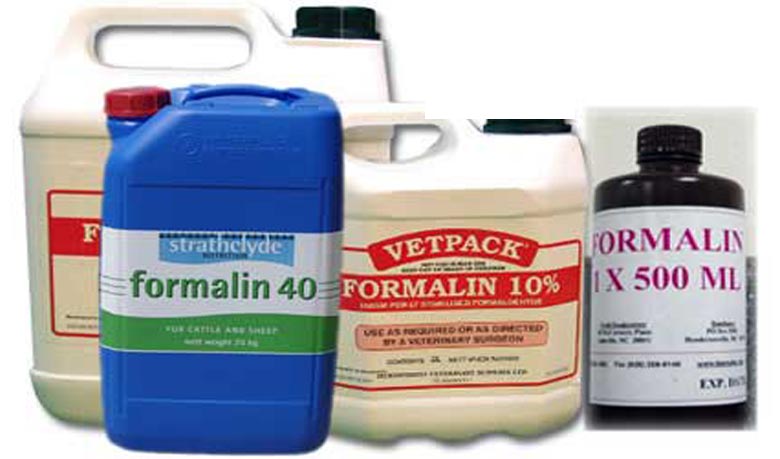 Illegal formalin holders to get lifetime