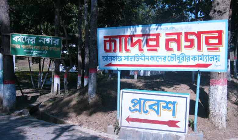 সাকা চৌধুরীর কাদের নগরে পোকামাকড়ের ঘরবসতি