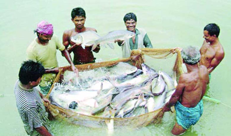 Special attention needed in fish farming