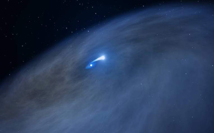 Giant star surprises NASA