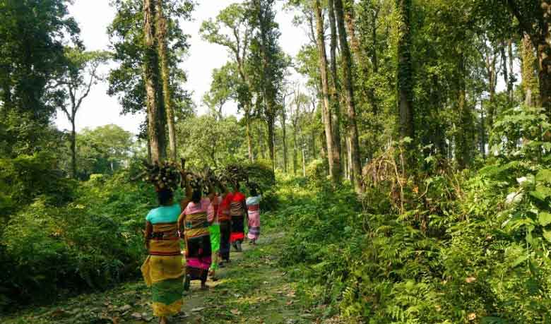 18-member taskforce to protect forest resources