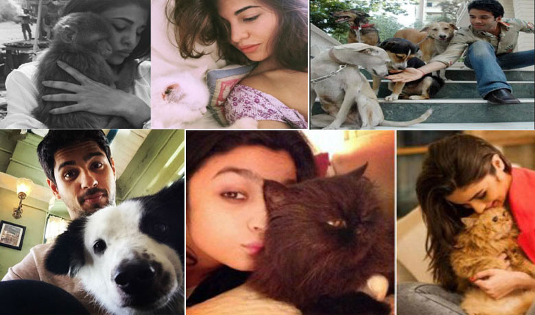 পোষা প্রাণীদের প্রতি তারকাদের ভালোবাসা! ( পর্ব- ১ )