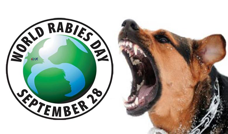 ‘জলাতঙ্ক’ অভিশাপ থেকে মুক্তির উপায়