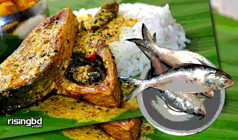 Hilsa scarcity, astronomical prices shake Pahela Baishakh culture