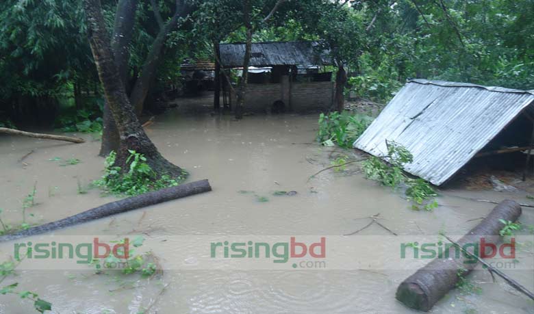 যশোরে বন্যায় হাজার কোটি টাকার ক্ষতি