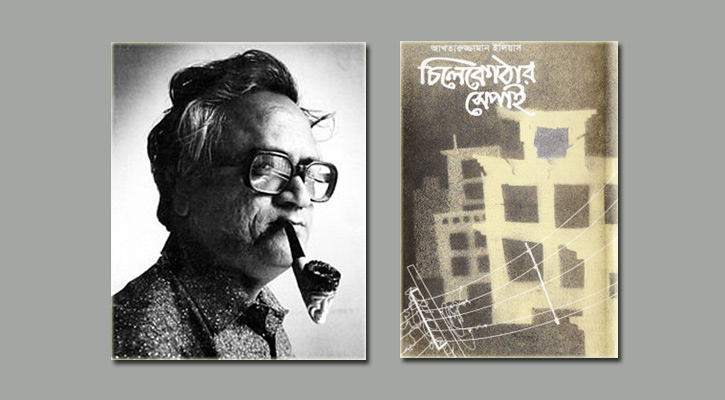 চিলেকোঠার সেপাই ও উনসত্তরের উত্থান-পতন