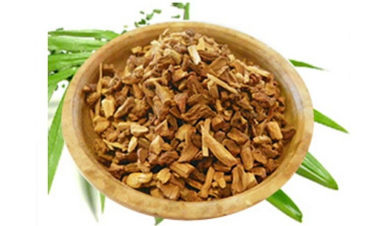 সারসাপারিলা পানীয় ও কুমারী লতা