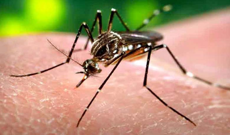 Govt to bear Zika virus treatment cost