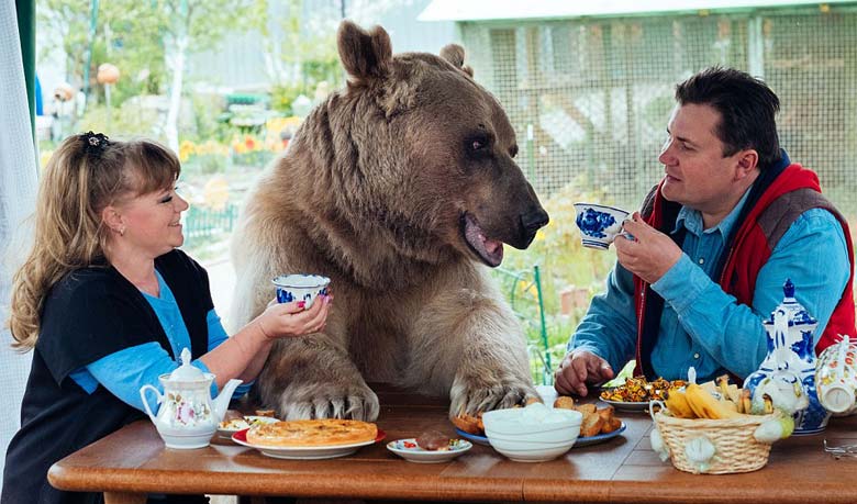 তারা ৩ জন এক পরিবারের সদস্য(ভিডিও)