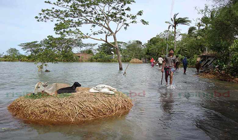 এখনো বেড়িবাঁধে বসবাস এখনো বেড়িবাঁধে বসবাস