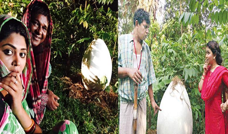 ঘোড়ার ডিম নিয়ে তাদের কর্মকাণ্ড