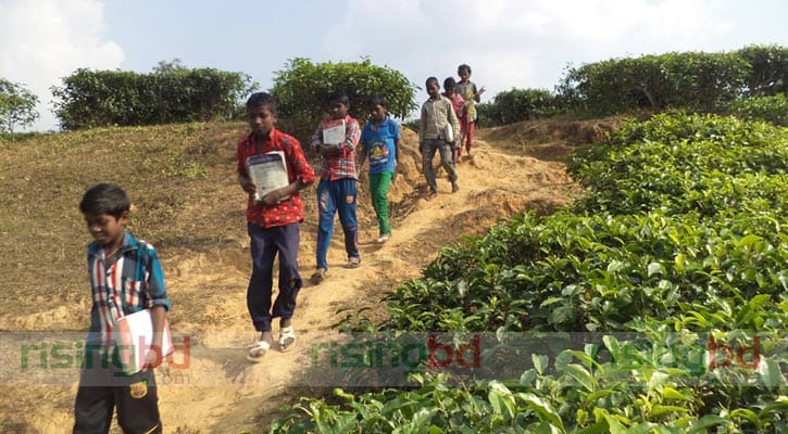 সুবিধা বঞ্চিত শিশুদের শিক্ষার বাতিঘর সুবিধা বঞ্চিত শিশুদের শিক্ষার বাতিঘর