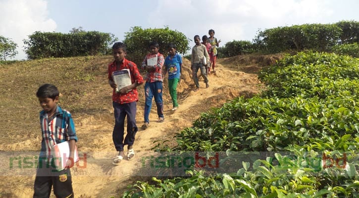 সুবিধা বঞ্চিত শিশুদের শিক্ষার বাতিঘর