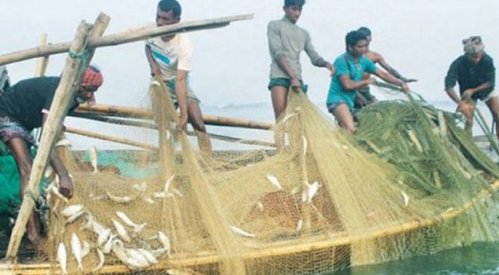 Hilsa fishing banned for 22 days