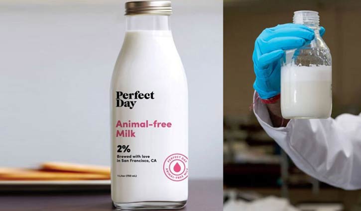 গরু ছাড়াই গরুর দুধ!