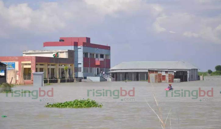 Flood: 57 educational institutions closed in Rajbari