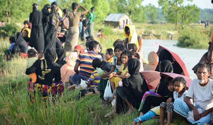 50,000 Rohingya flee genocide in Myanmar