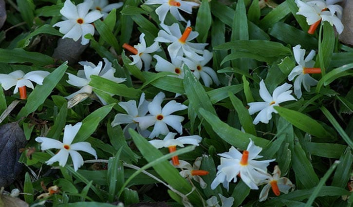 শরতের প্রথম দিন শরতের প্রথম দিন