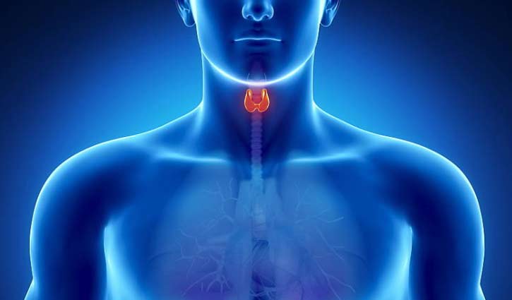 থাইরয়েড ক্যানসারের ৬ উপসর্গ