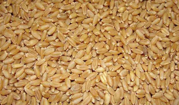 Bangladesh to import wheat from Russia