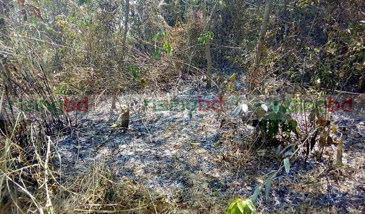 GD filed over fire incident at forest near Rohingya camps