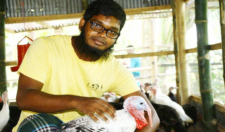 টার্কি মুরগির কৃত্রিম প্রজনন উদ্ভাবন করলেন শেকৃবি শিক্ষার্থী