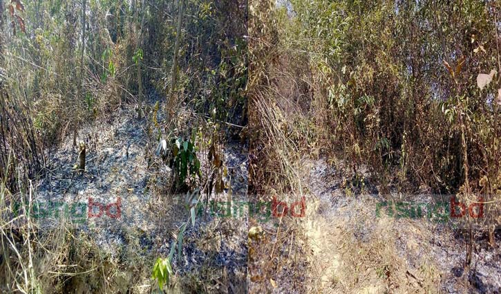 40 points of Cox’s Bazar reserved forest catch fire