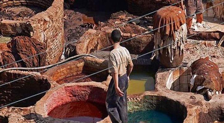 Pay fine to state fund, HC to tannery owners