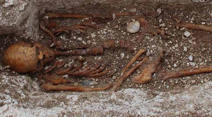 Skeleton offers clues to medieval spread of leprosy