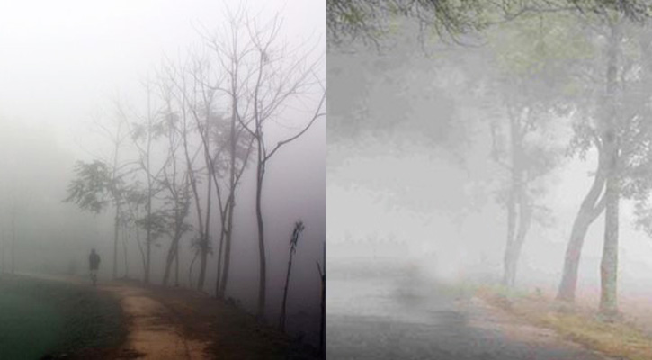 Cold wave grips country, hits normal life